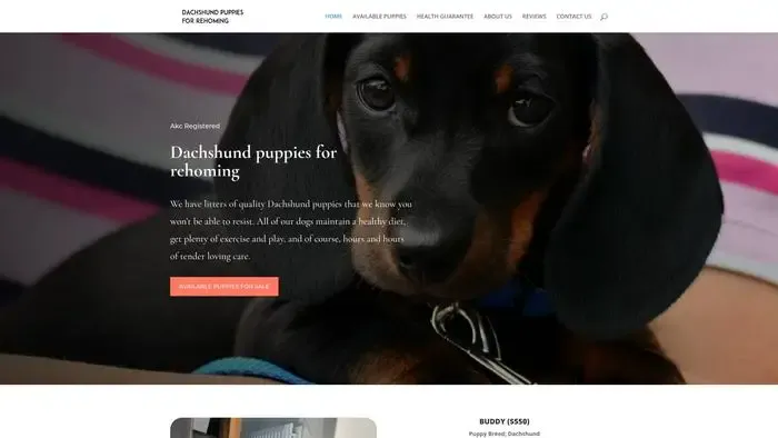 Screenshot of