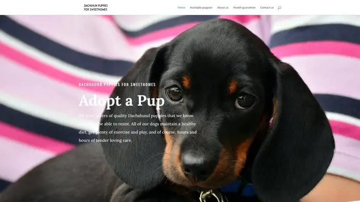 Screenshot of