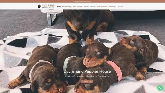 Screenshot of