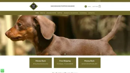 Screenshot of
