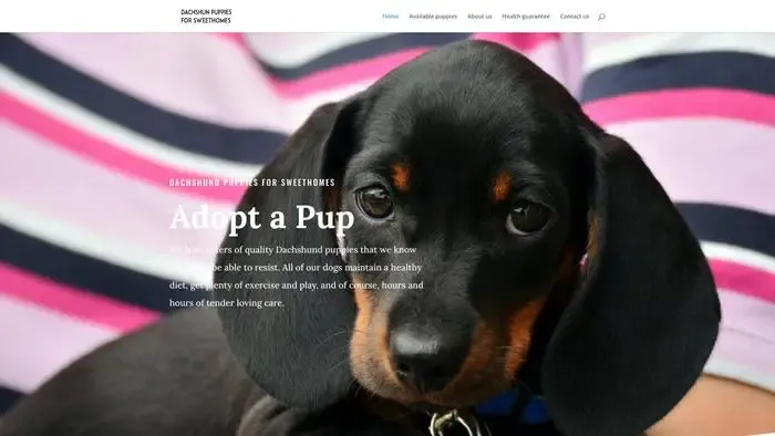 Screenshot of