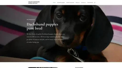 Screenshot of