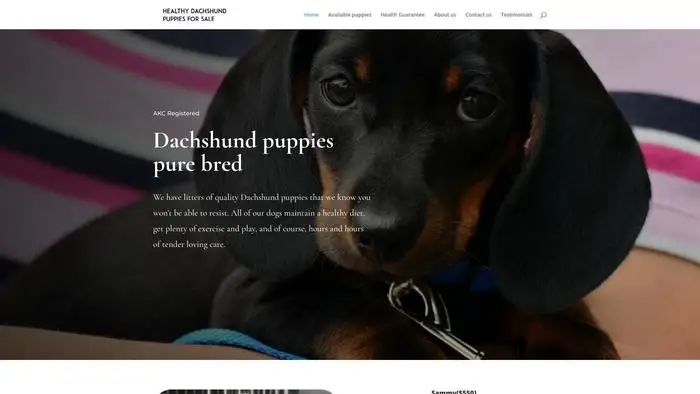 Screenshot of