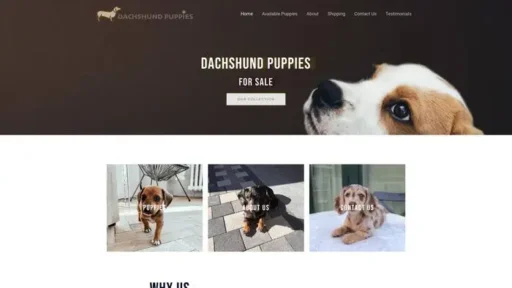 Screenshot of