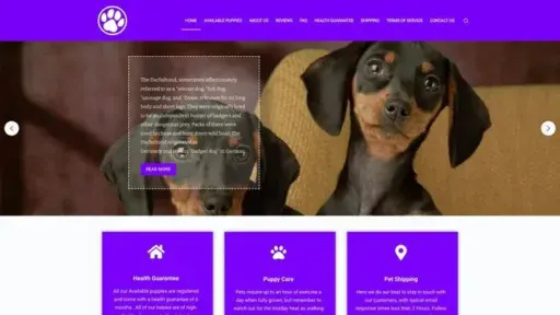 Screenshot of