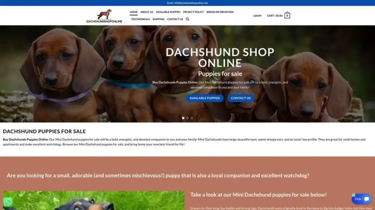 Dachshundshoponline