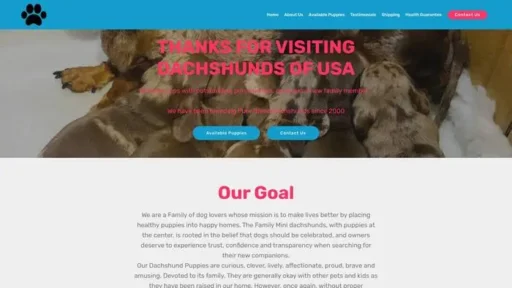 Screenshot of