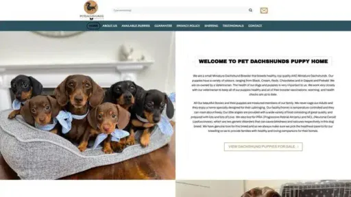 Screenshot of