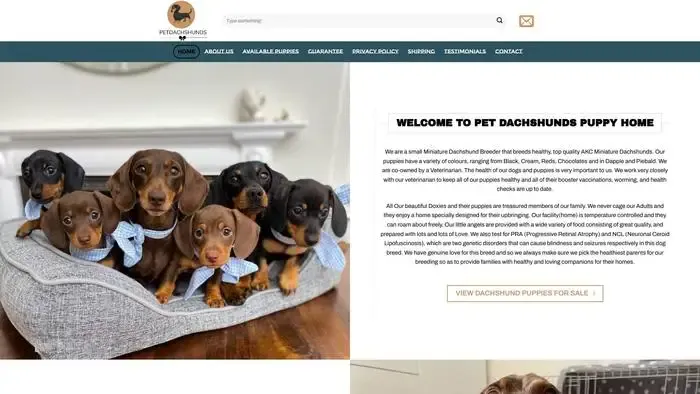 Screenshot of
