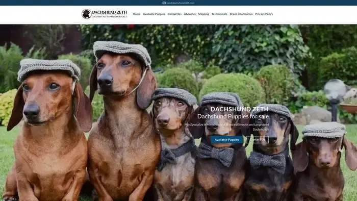 Screenshot of