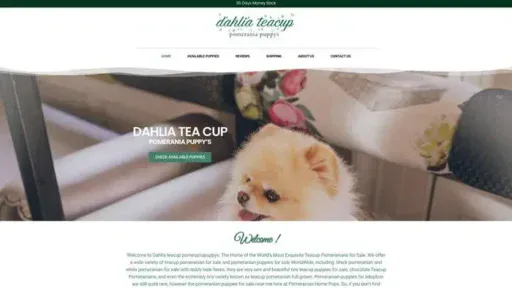 Screenshot of