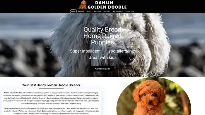 Screenshot of