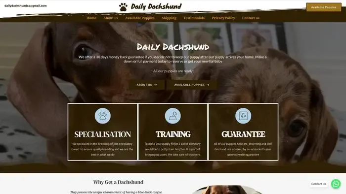 Screenshot of