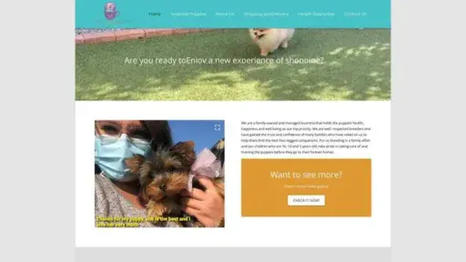 Screenshot of