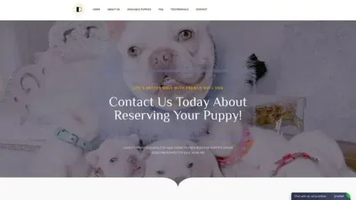 Screenshot of