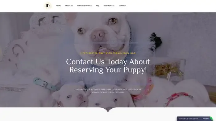 Screenshot of