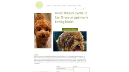 Screenshot of