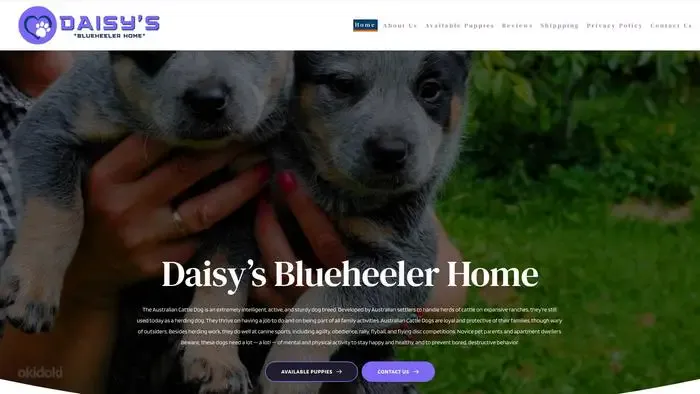 Screenshot of