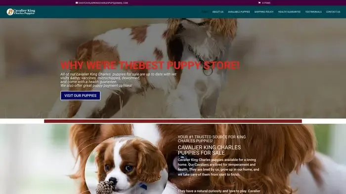 Screenshot of