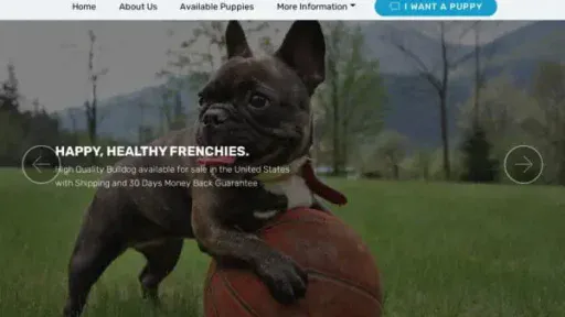 Screenshot of