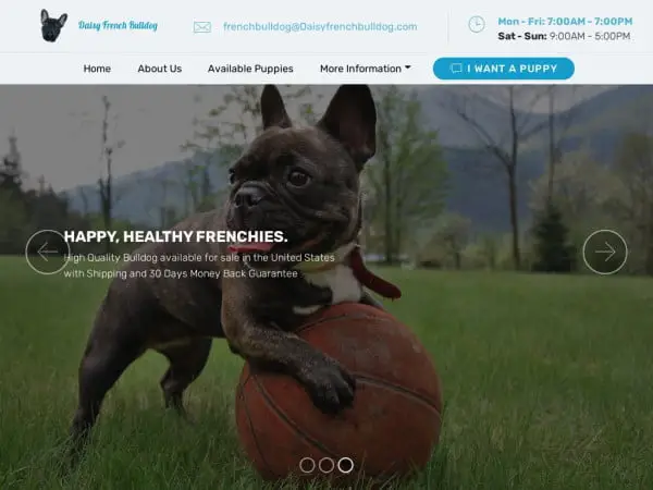 Screenshot of