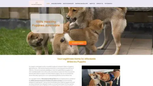 Screenshot of