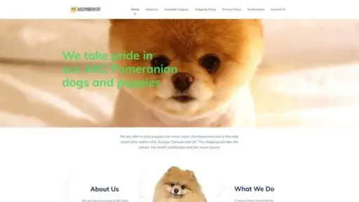 Screenshot of