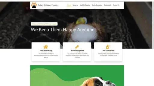Screenshot of