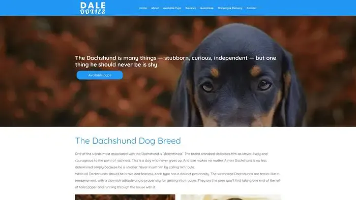 Screenshot of