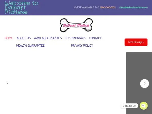 Screenshot of