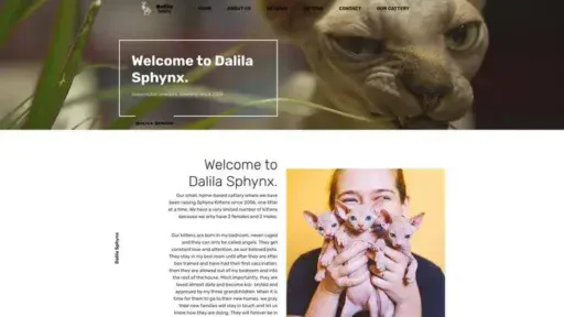 Screenshot of