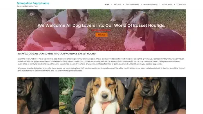 Screenshot of