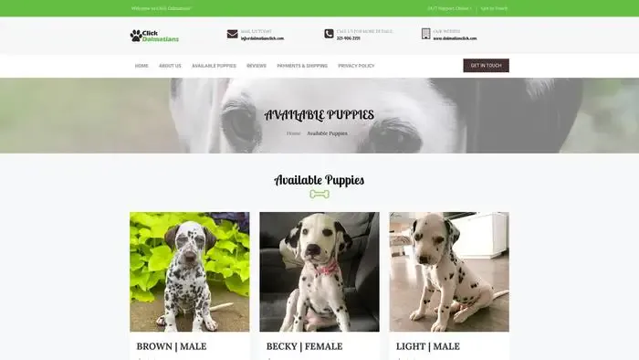 Screenshot of