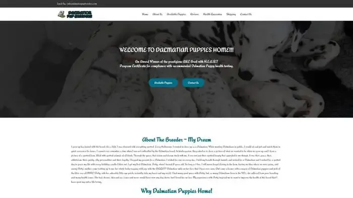 Screenshot of
