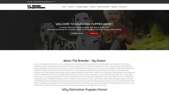 Screenshot of