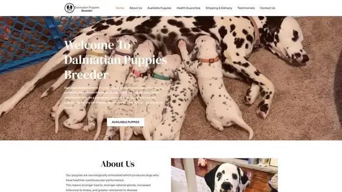 Screenshot of