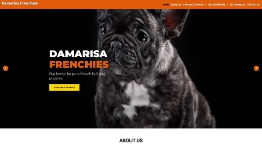 Screenshot of
