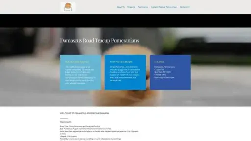 Screenshot of