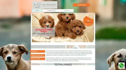 Screenshot of