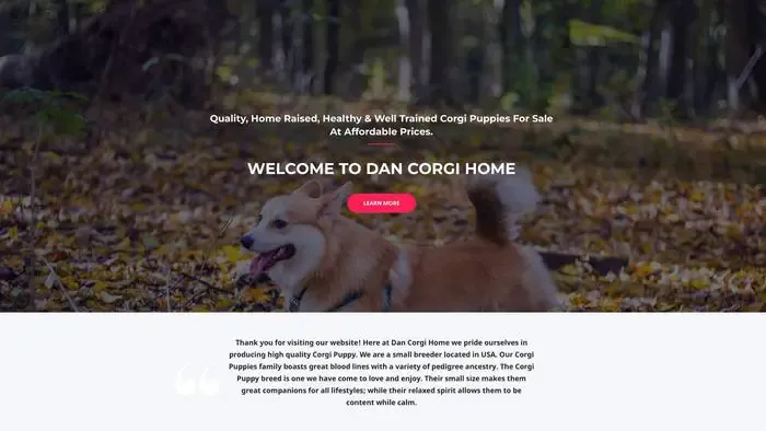 Screenshot of