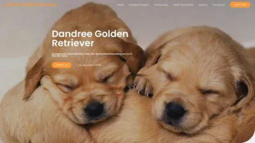 Screenshot of||