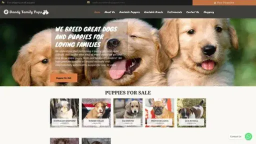 Screenshot of