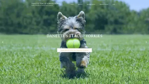 Screenshot of