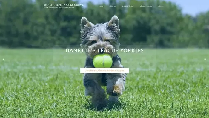 Screenshot of