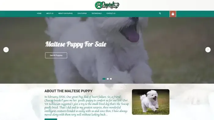 Screenshot of