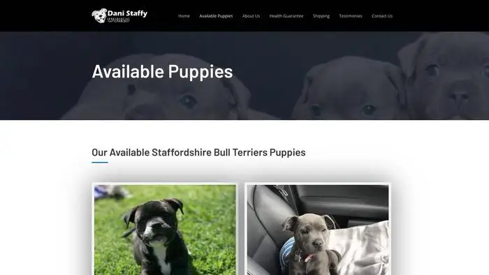 Screenshot of
