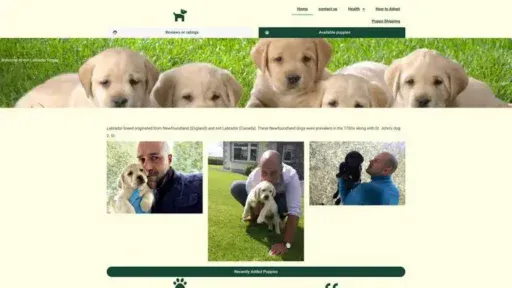 Screenshot of
