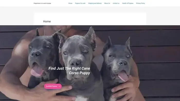Screenshot of