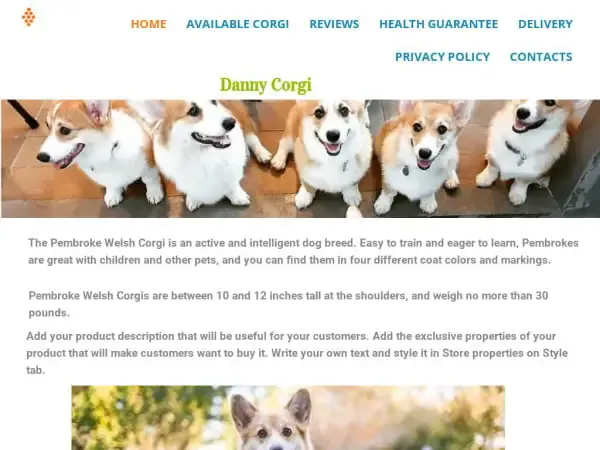 Screenshot of