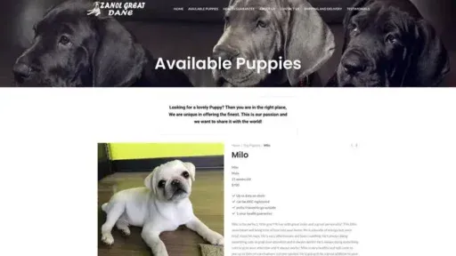 Screenshot of